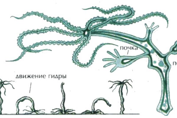 Кракен официальный сайт онион