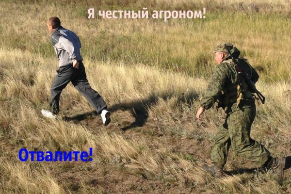 Кракен рабочее зеркало