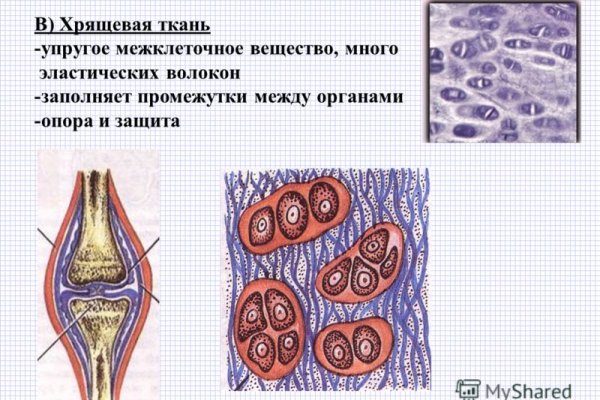 Ссылка адрес на кракен тор