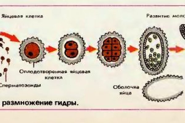 Кракен современный даркнет маркетплейс