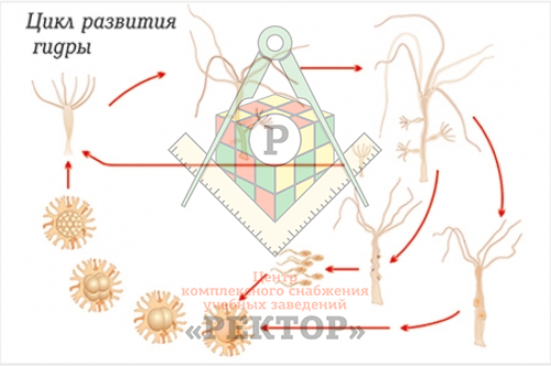 Кракен даркнет вход